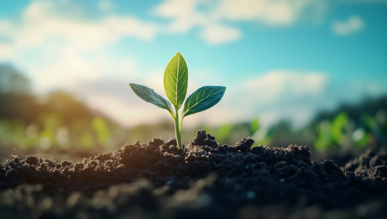 Short-term goal : 
Fully integrate ESG into corporate governance